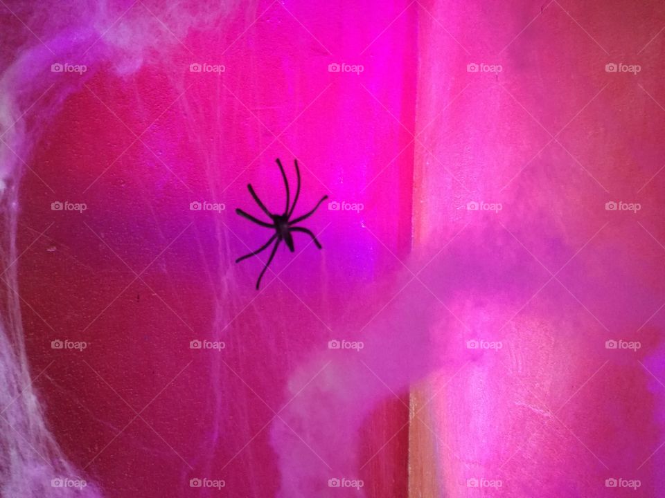 halloween spider