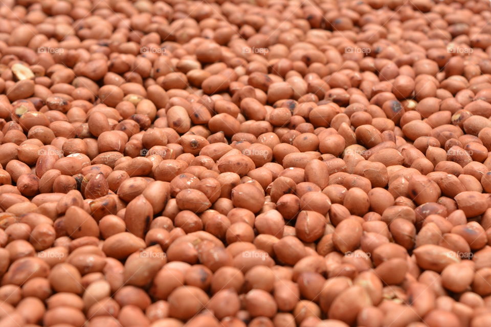 Close-up of peanuts