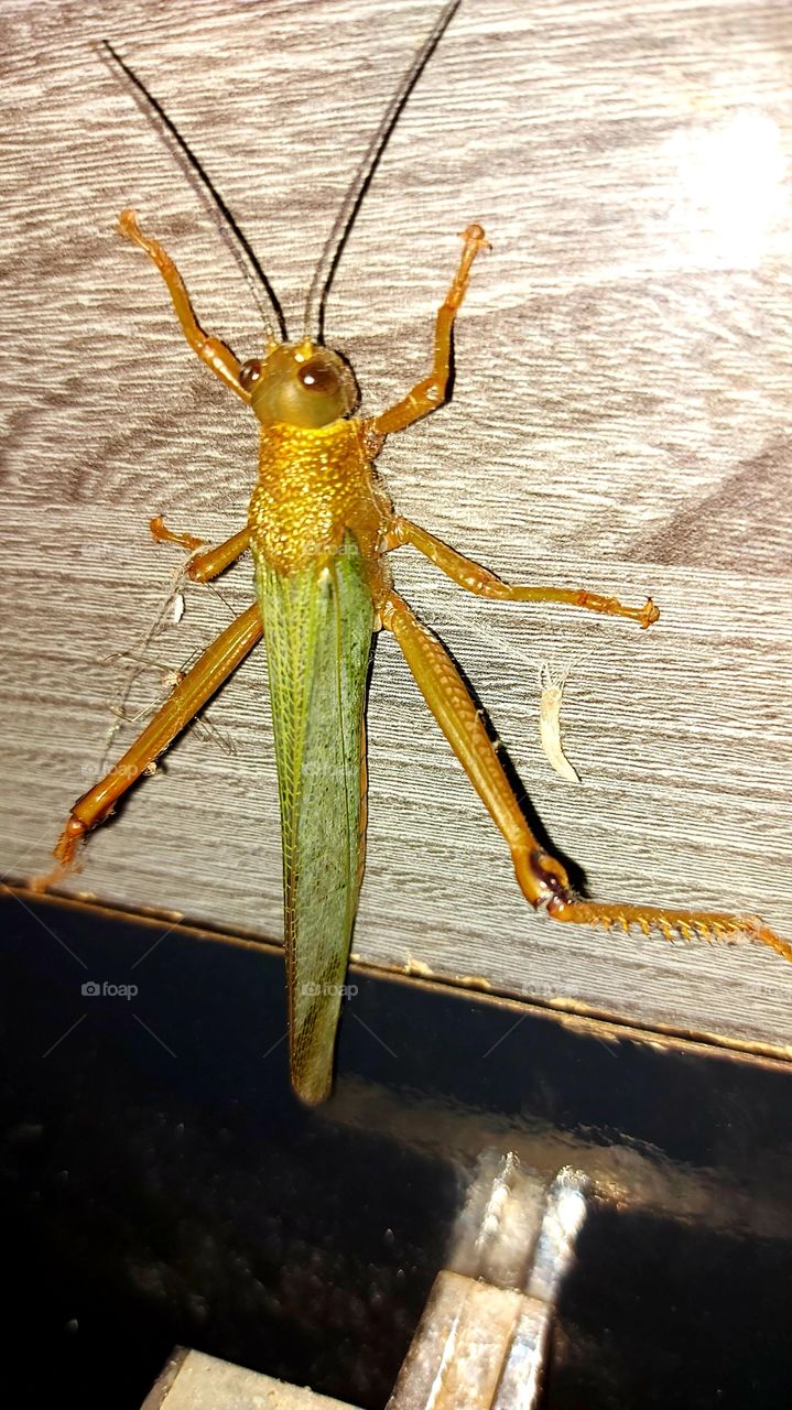 the nature is beautiful