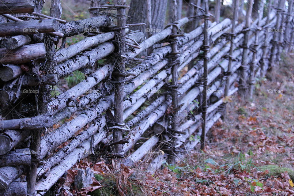 Traditional Swedish fence