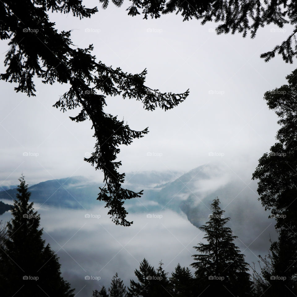 Mountains peak over the fog 