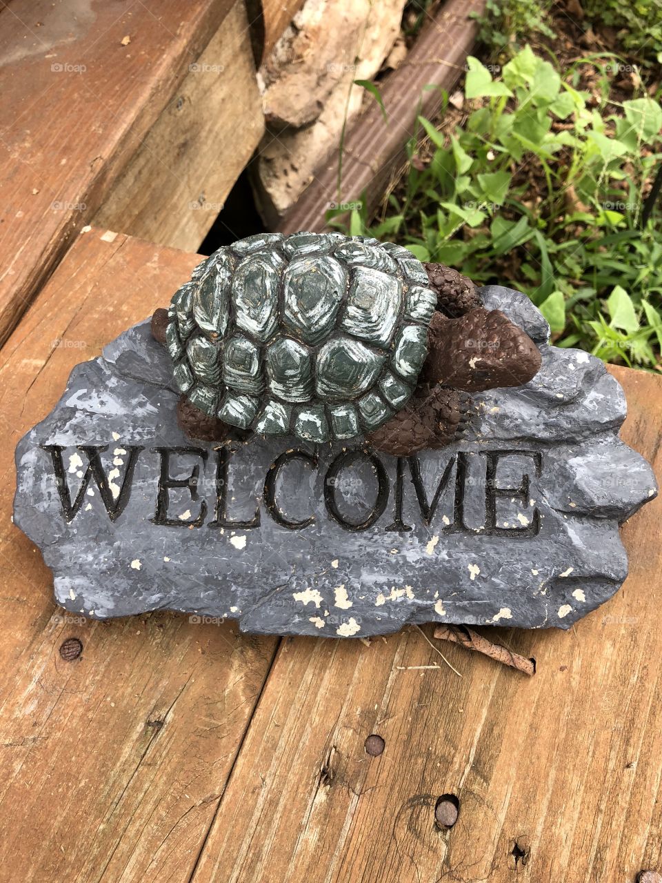Turtle Welcome