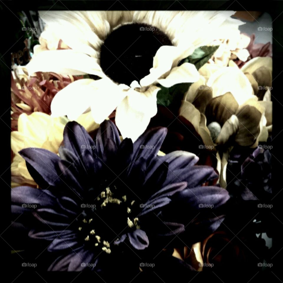 autumn. lighting effectts