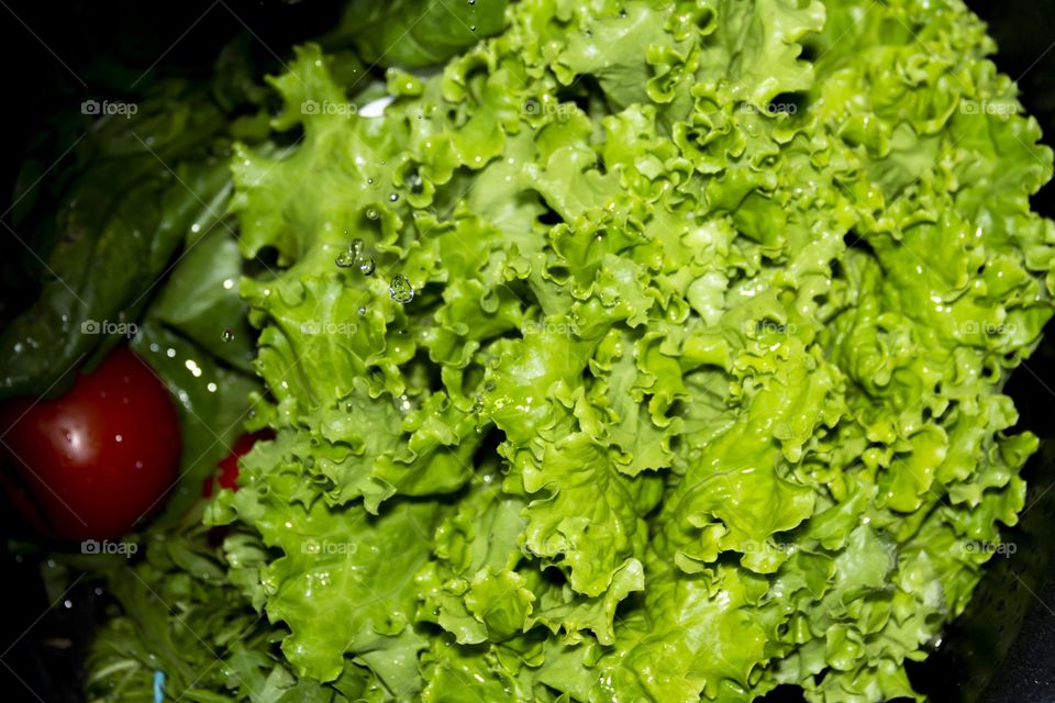 Fresh, green, vegetarian vegetables under the tap in a black sink for preparing salads and other dishes in a homely gray and green kitchen.