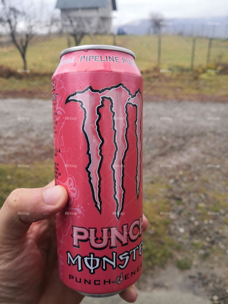 Monster energy Punch