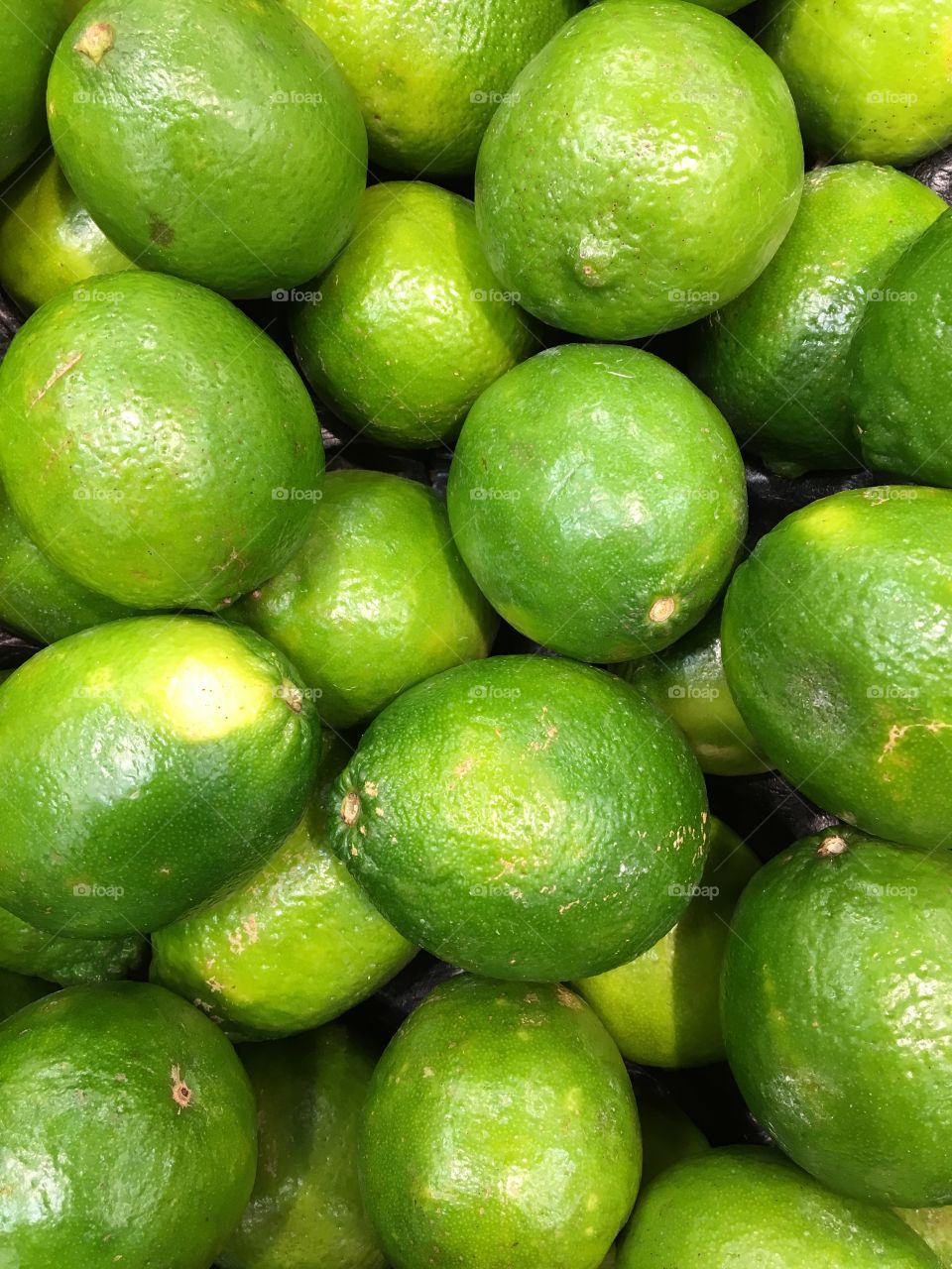 Limes