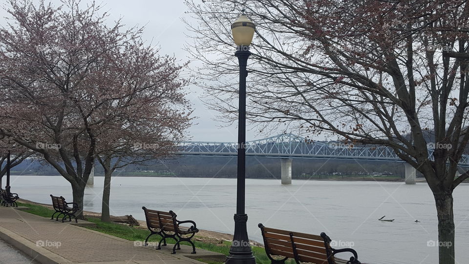 benches along the river