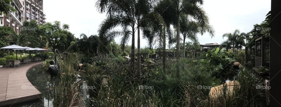 Tropics - gardens - wetlands - Hainan Island resort views 