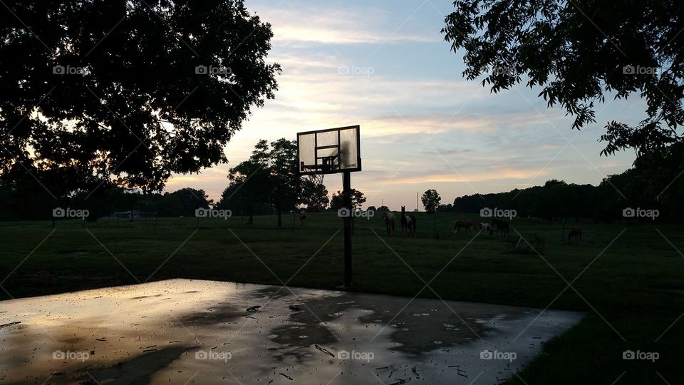 No Person, Tree, Landscape, Outdoors, Sky