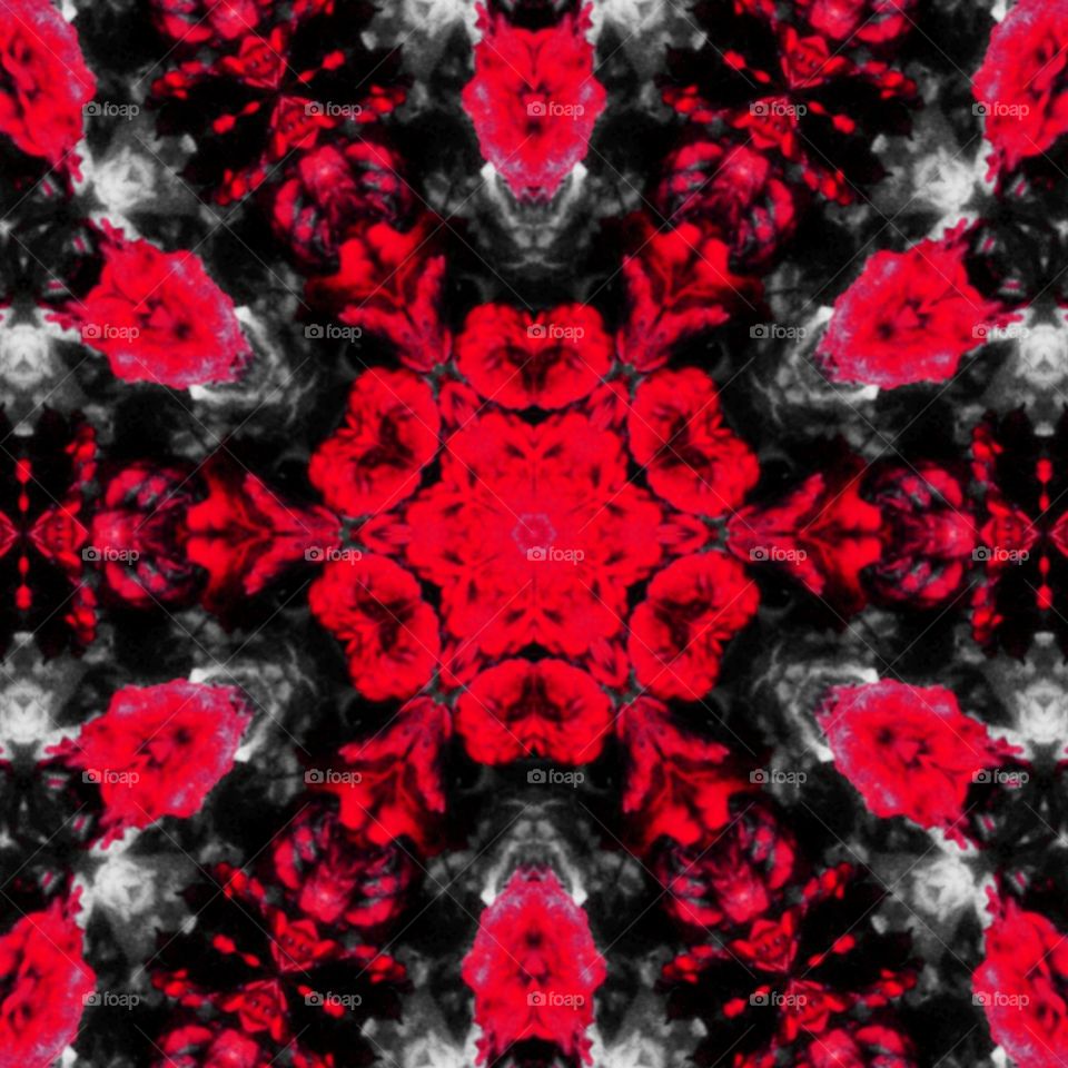 red rose kaleidoscope