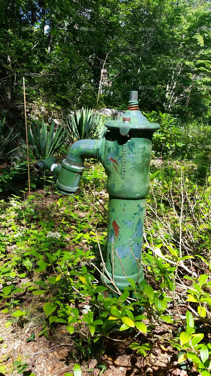 antique water faucet