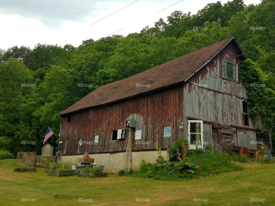 Driving the Back Roads and enjoying everything around us