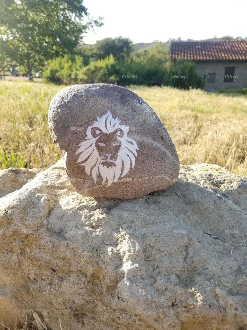 Lion rock art along a nature trail