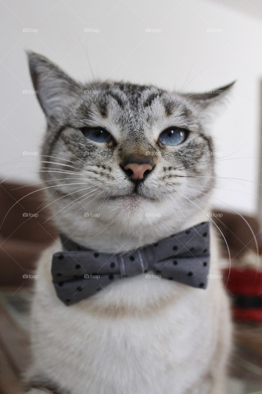 Peeta looking dashing in his bow tie 