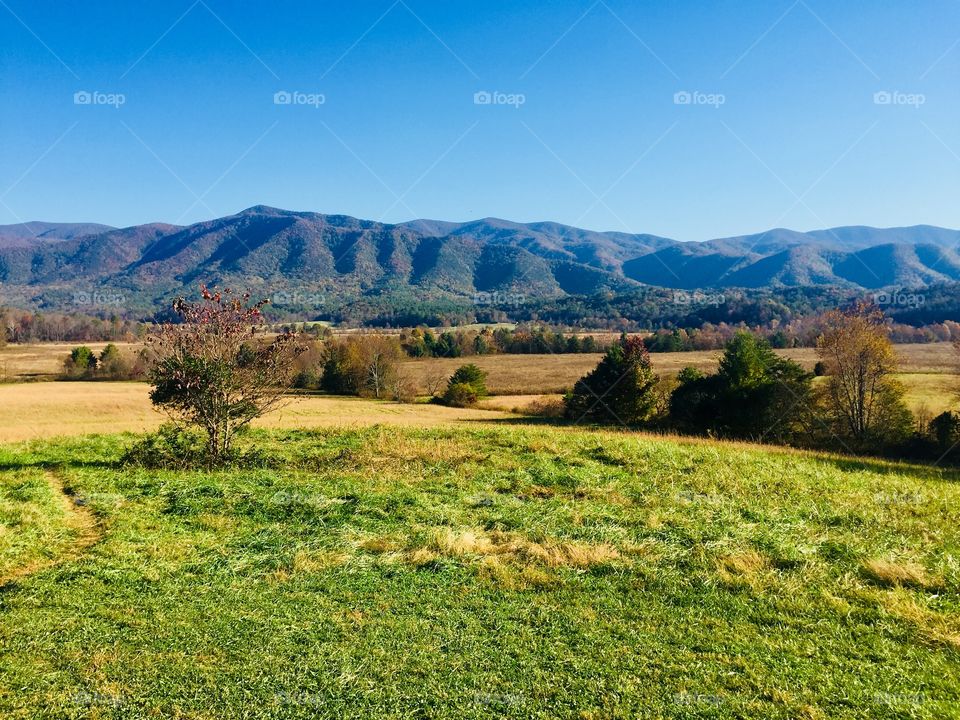 Beautiful Mountain Landscape 
