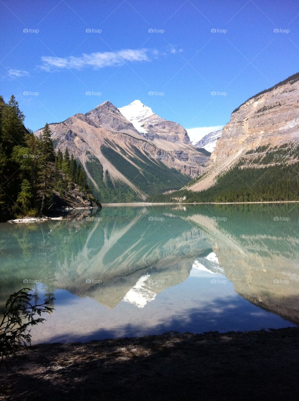 Berg Lake in Mount Robson Provincial Park has one of the most picturesque lakes in the British Columbia Rocky Mountains.  This lake is an hour hike from the parking lot and is worth the trek through the forest on this well maintained hiking trail.