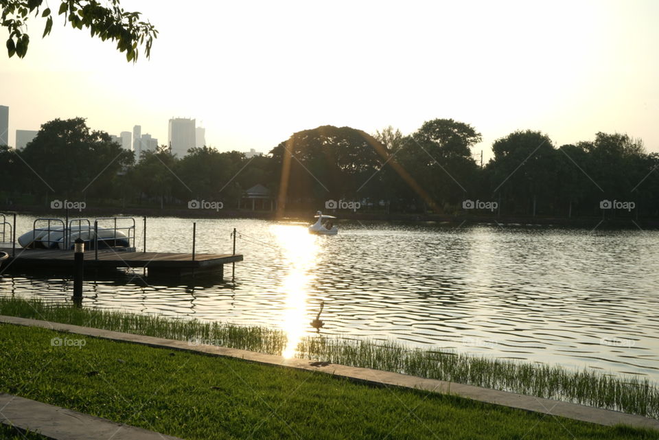 Sunset in park lake