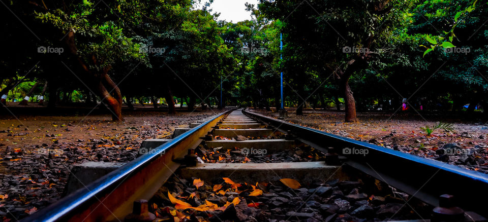 sneh botanical garden, surat