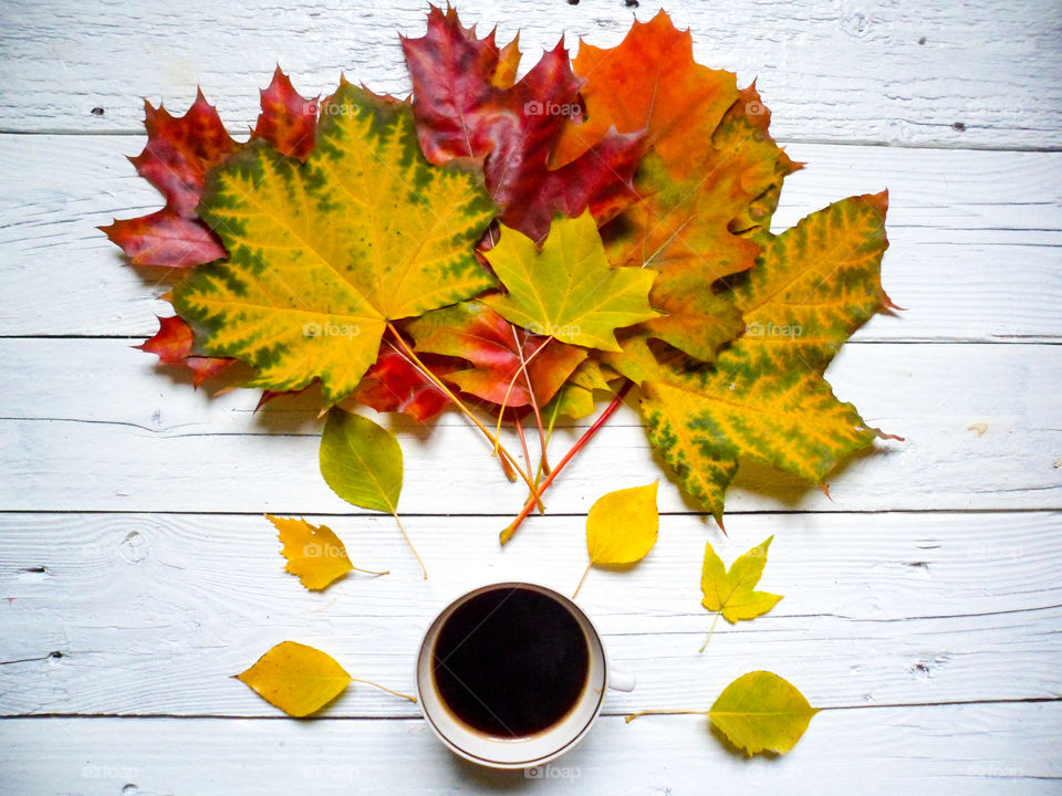 cup of coffee and a multi-colored autumn foliage