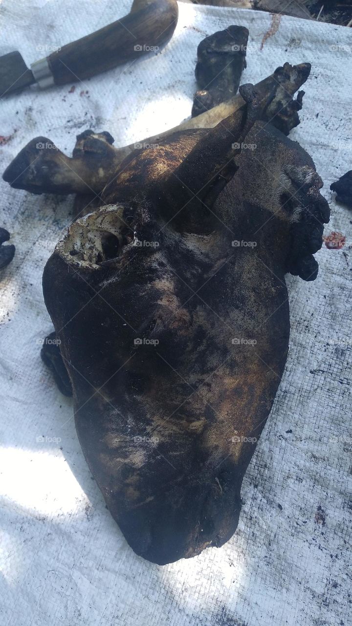 Goat's head that has been grilled to be ready to be processed for cooking