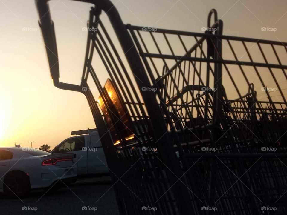 Grocery cart in the sun