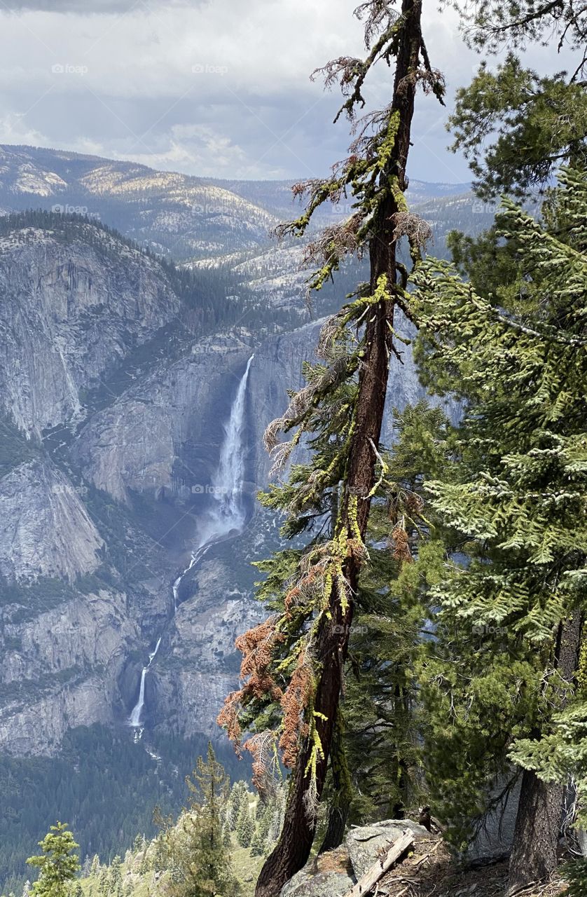 Yosemite Falls