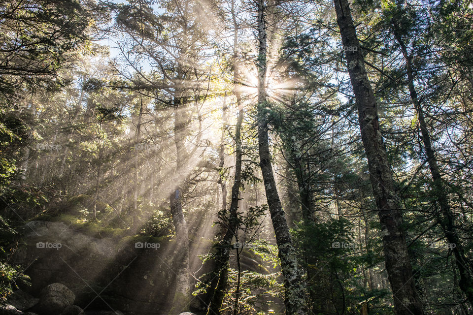 A morning hike with the sun shining through the fog