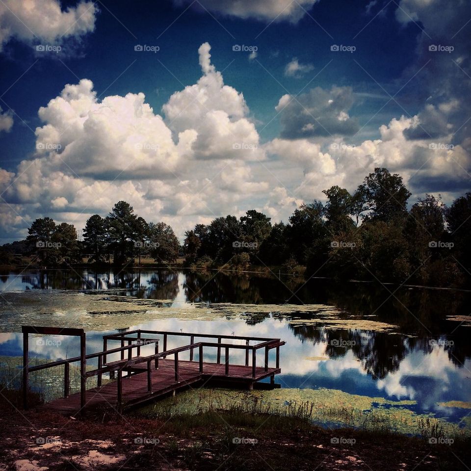 Pond pic two