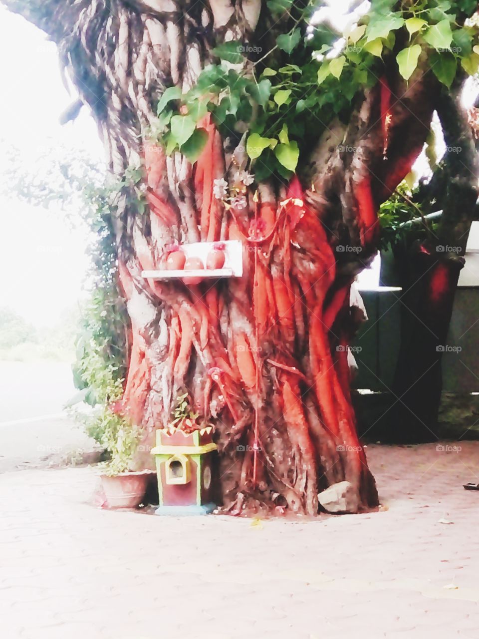 red subject,hind god picture,Nice photo,Natural photo,Memorable photo,A wonderful photo,A beautiful photo,Amazing photo,Best photo,Real photo,A photo for you,Special photo for special,Very good photo for you,Preserve photo,Wow click photo