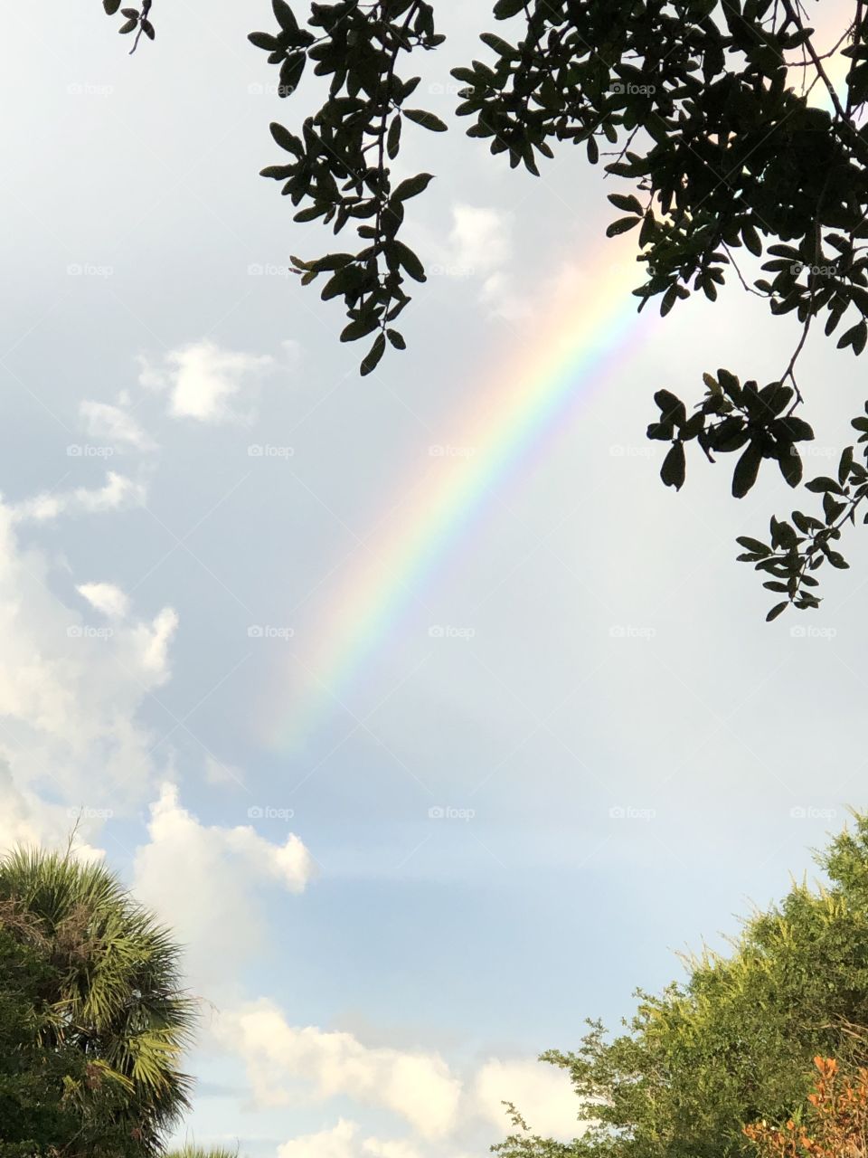 Rainbow in blue sky 