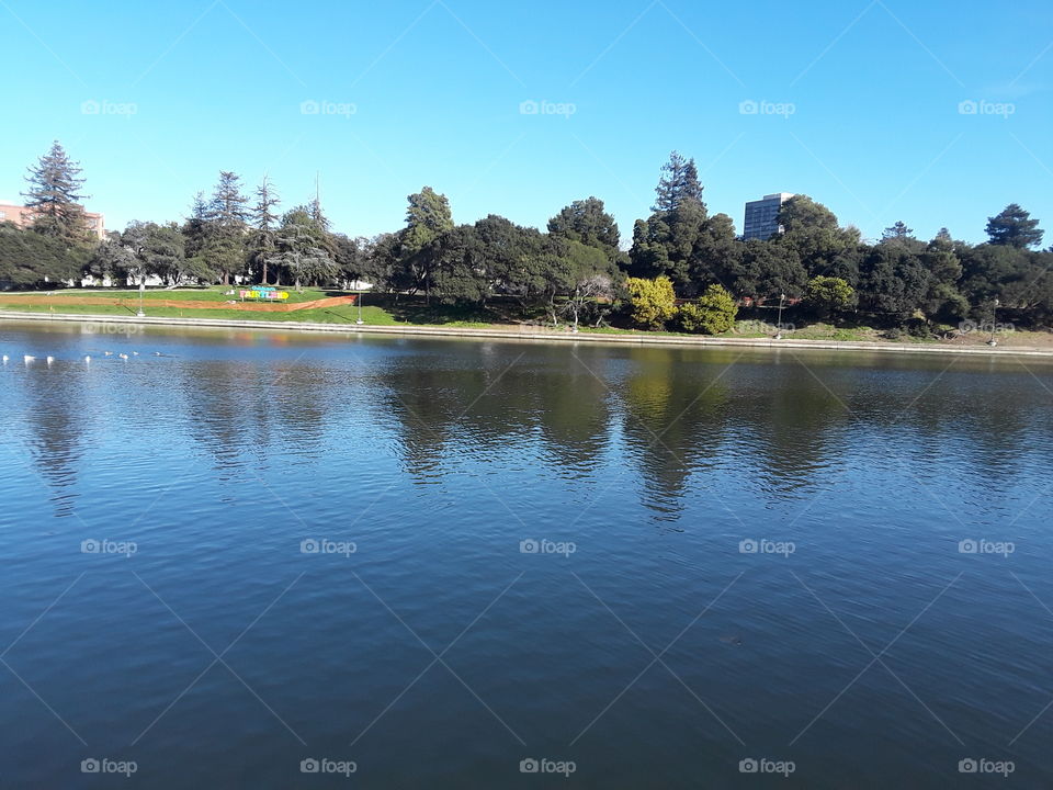 Lake, Water, River, No Person, Tree