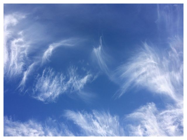 Canvas Sky