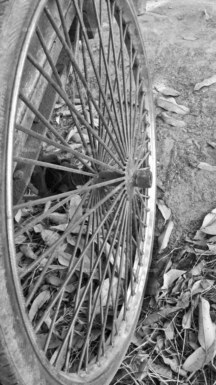 tricycle  wheel