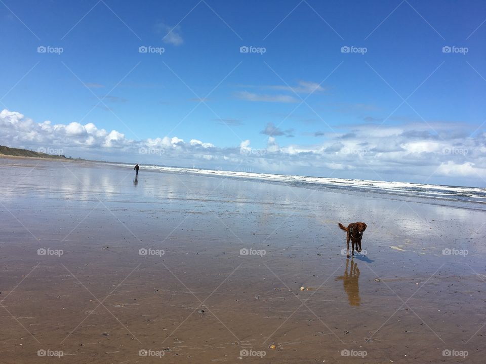 First phase of easing Lockdown restrictions ... being able to venture out .... so we headed to the beach 