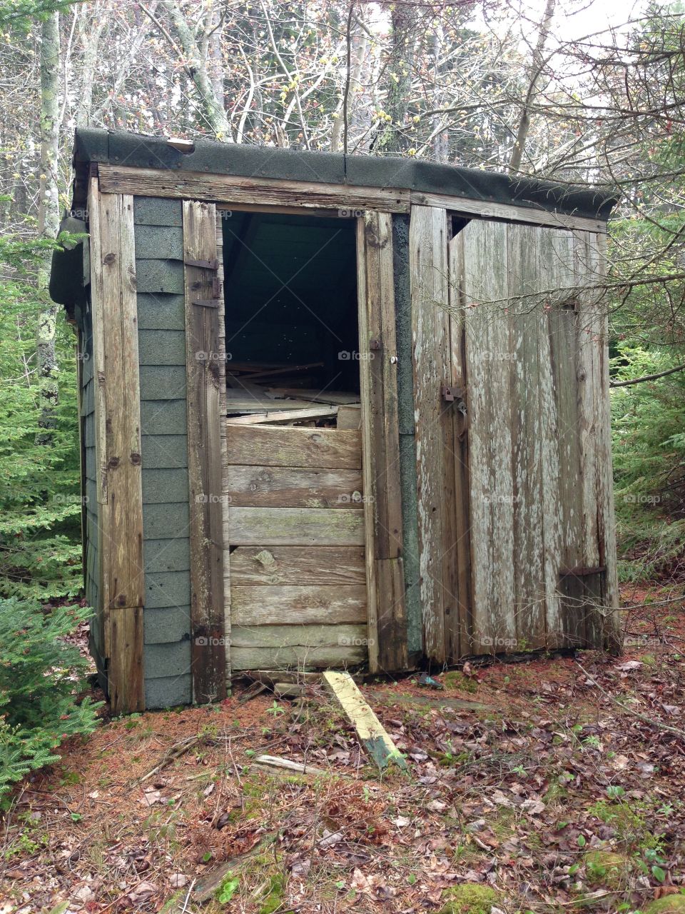 Coastal Maine outhouse
