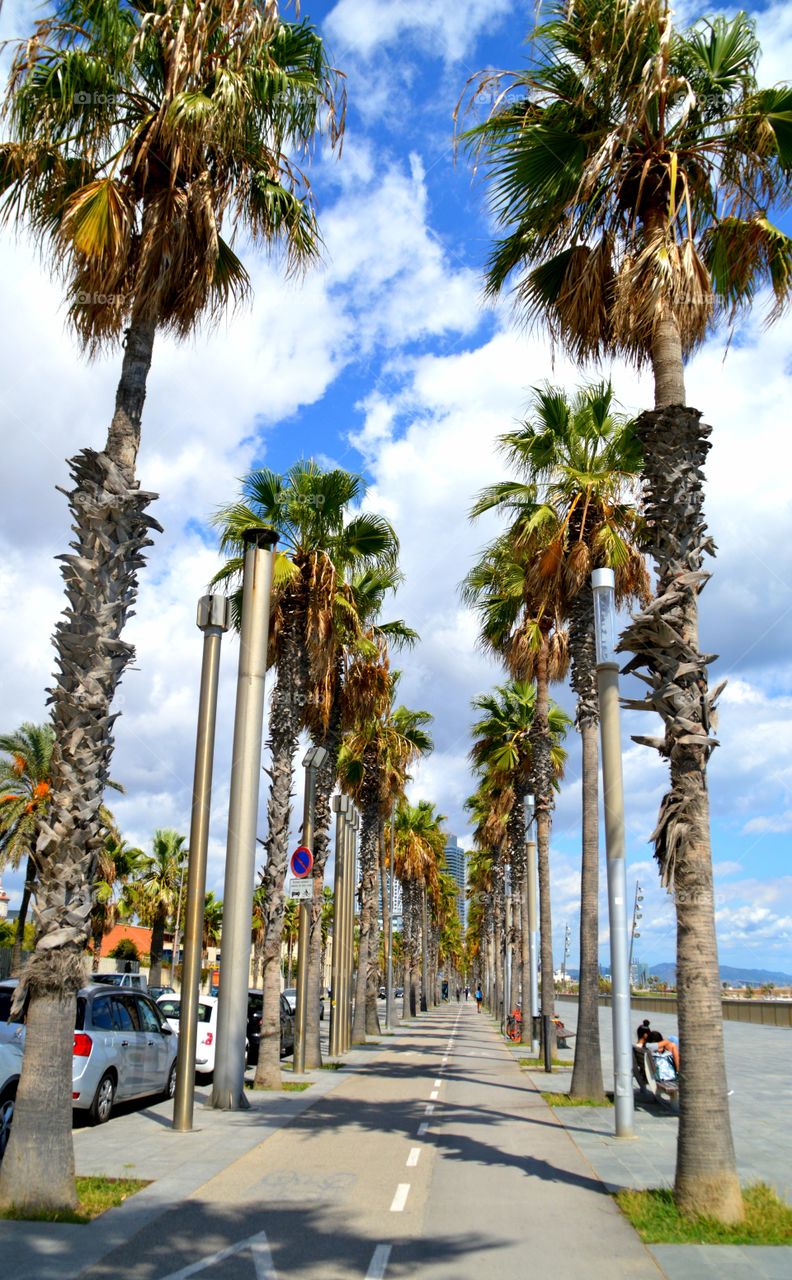 Barceloneta