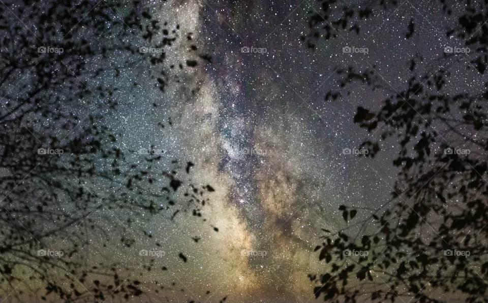 starry nights 