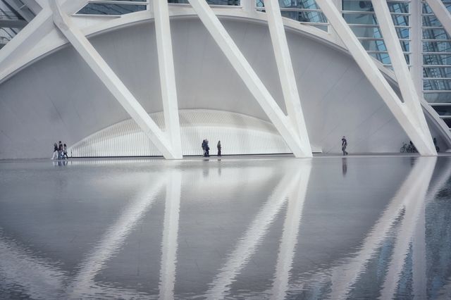 Reflections
