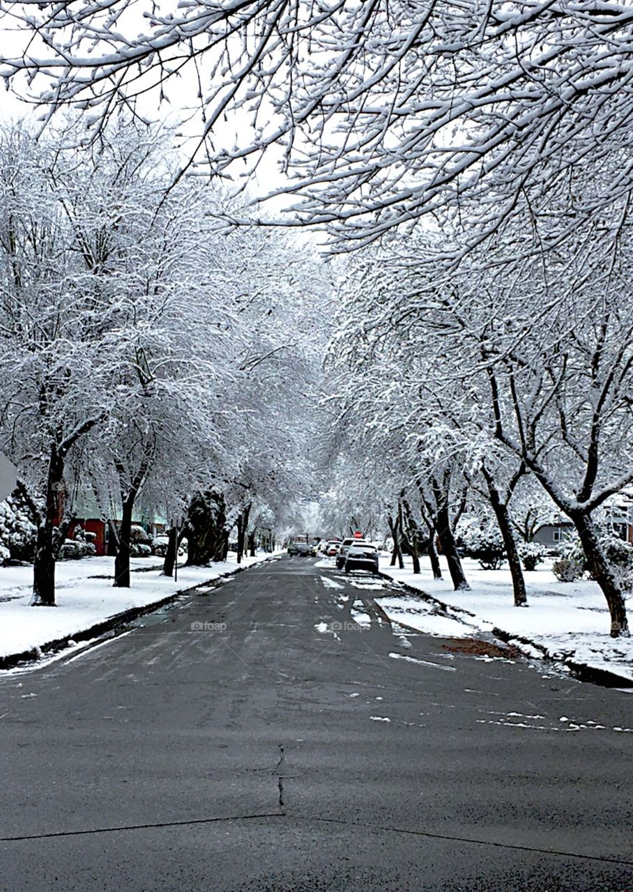 Longview Washington snowy streets
