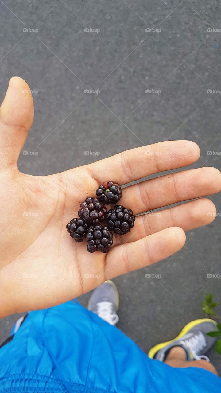 blackberries and run