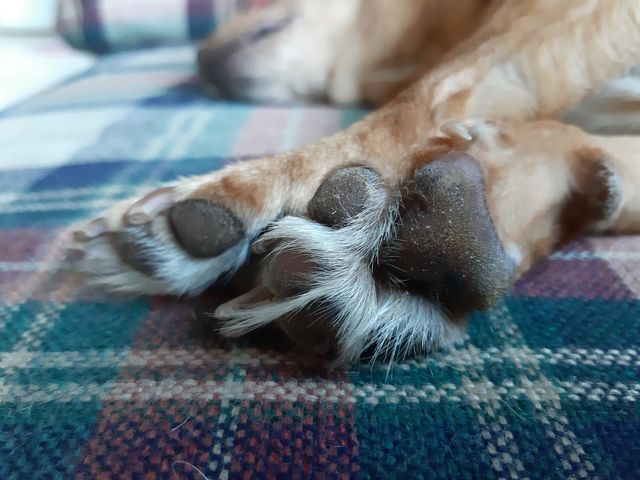 best sleep day