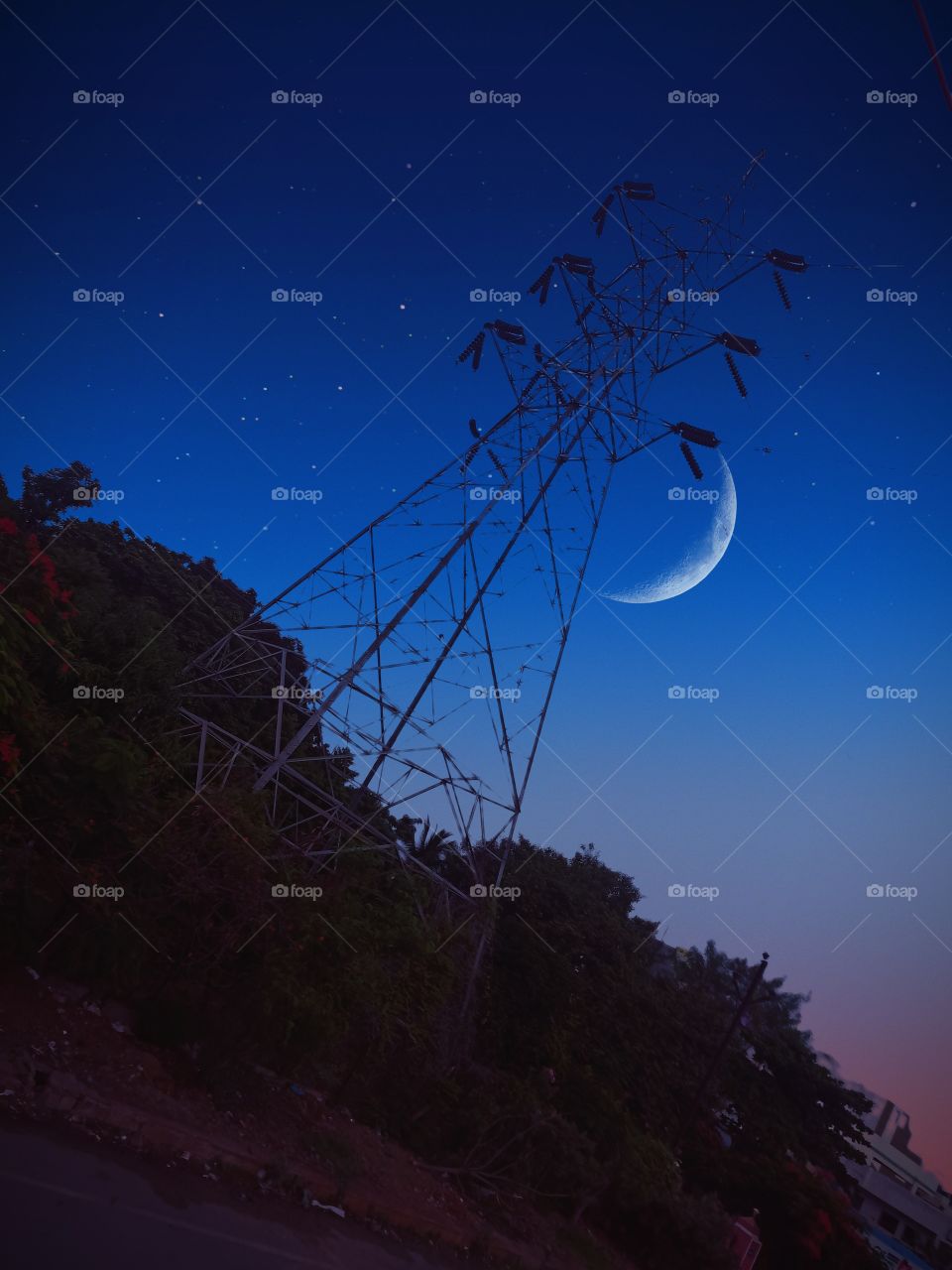 night life human creation