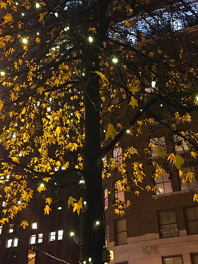 City lights
