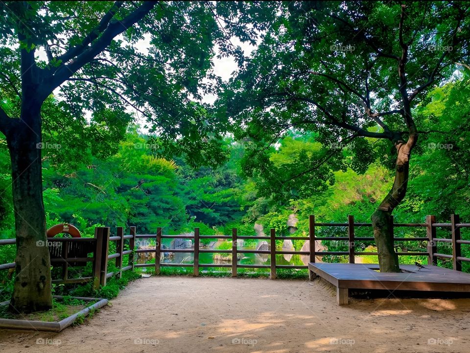 good point of view in korean