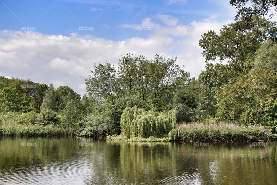 Park in Amsterdam