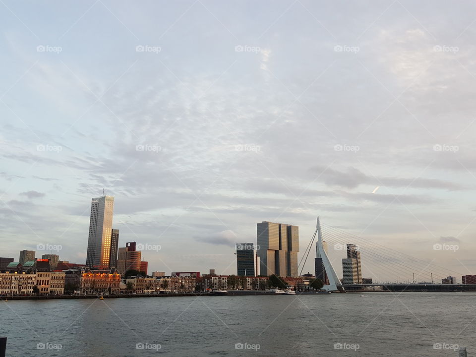Rotterdam River