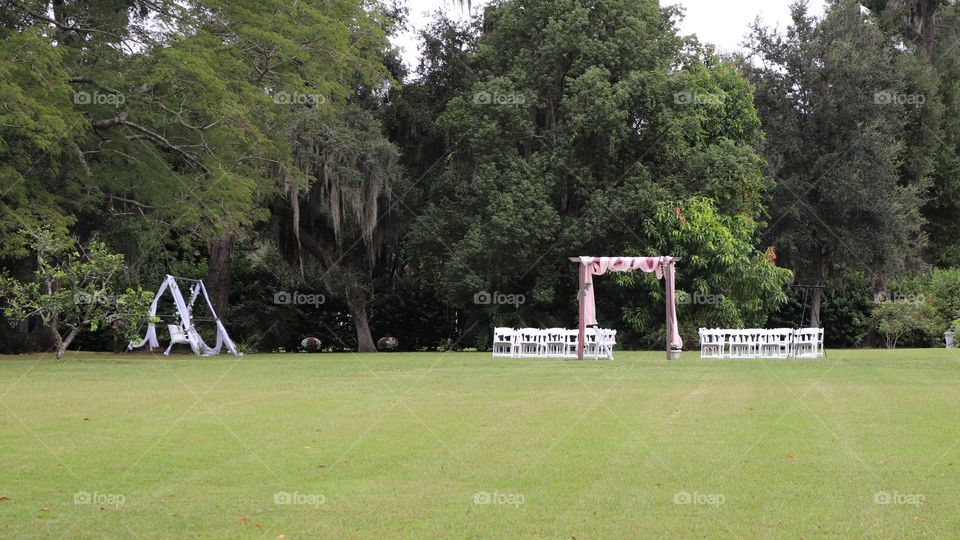 Country side is best peaceful wedding venue among large oak trees and abundant green grass in harmony with nature