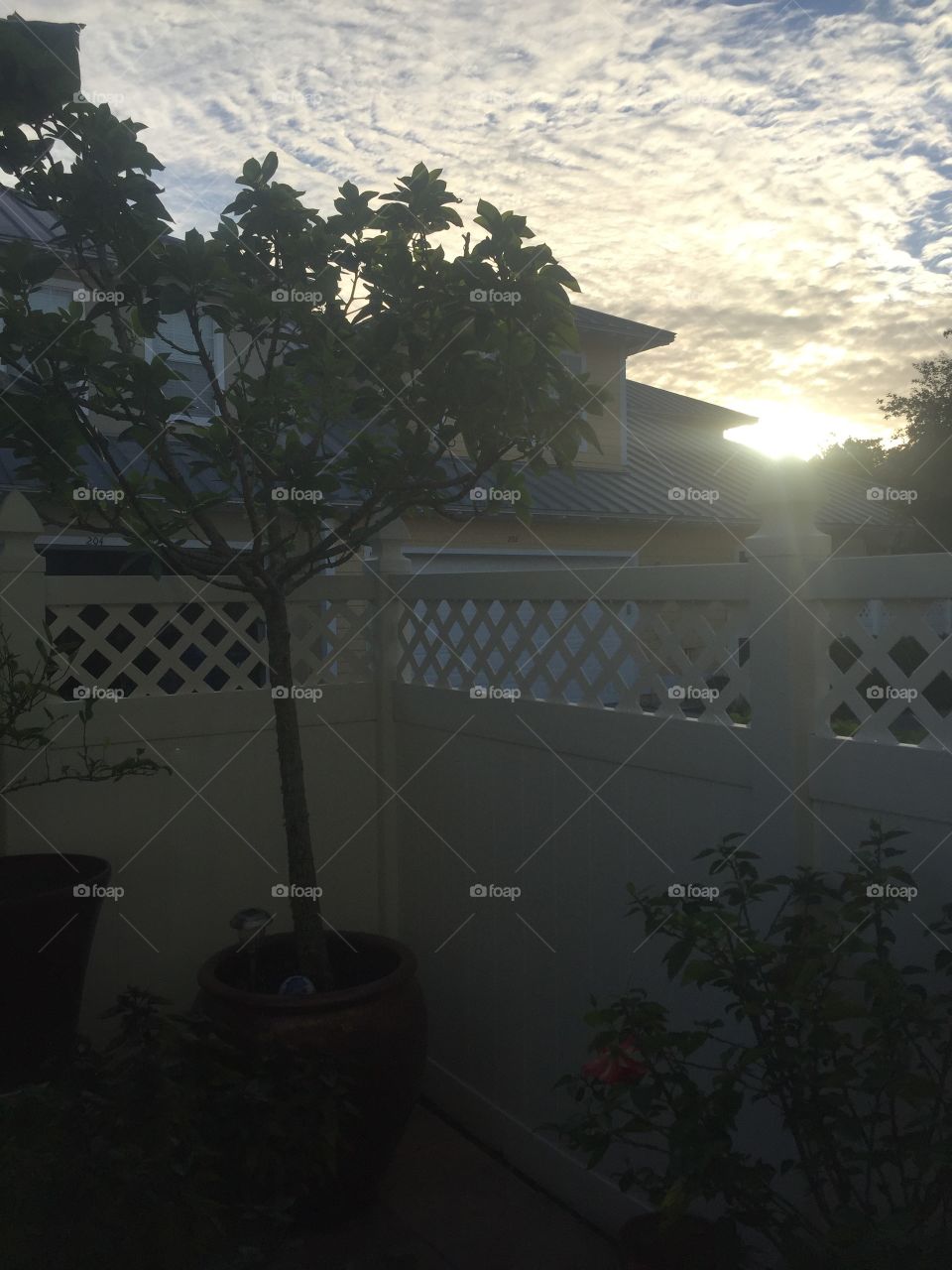 Beautiful Florida sunrise