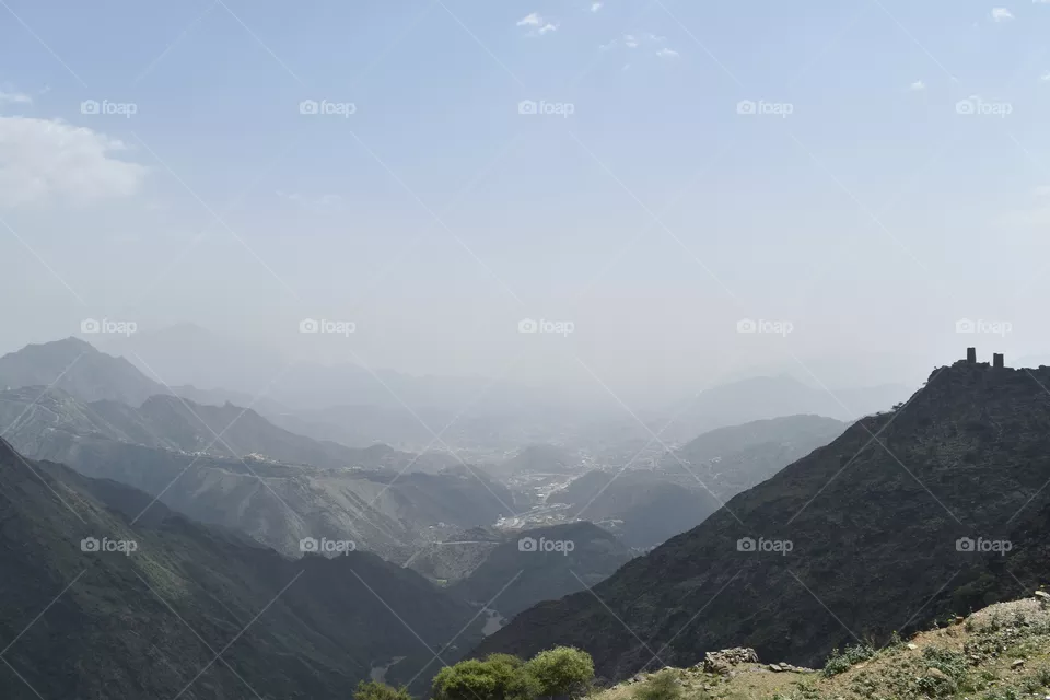Nature 