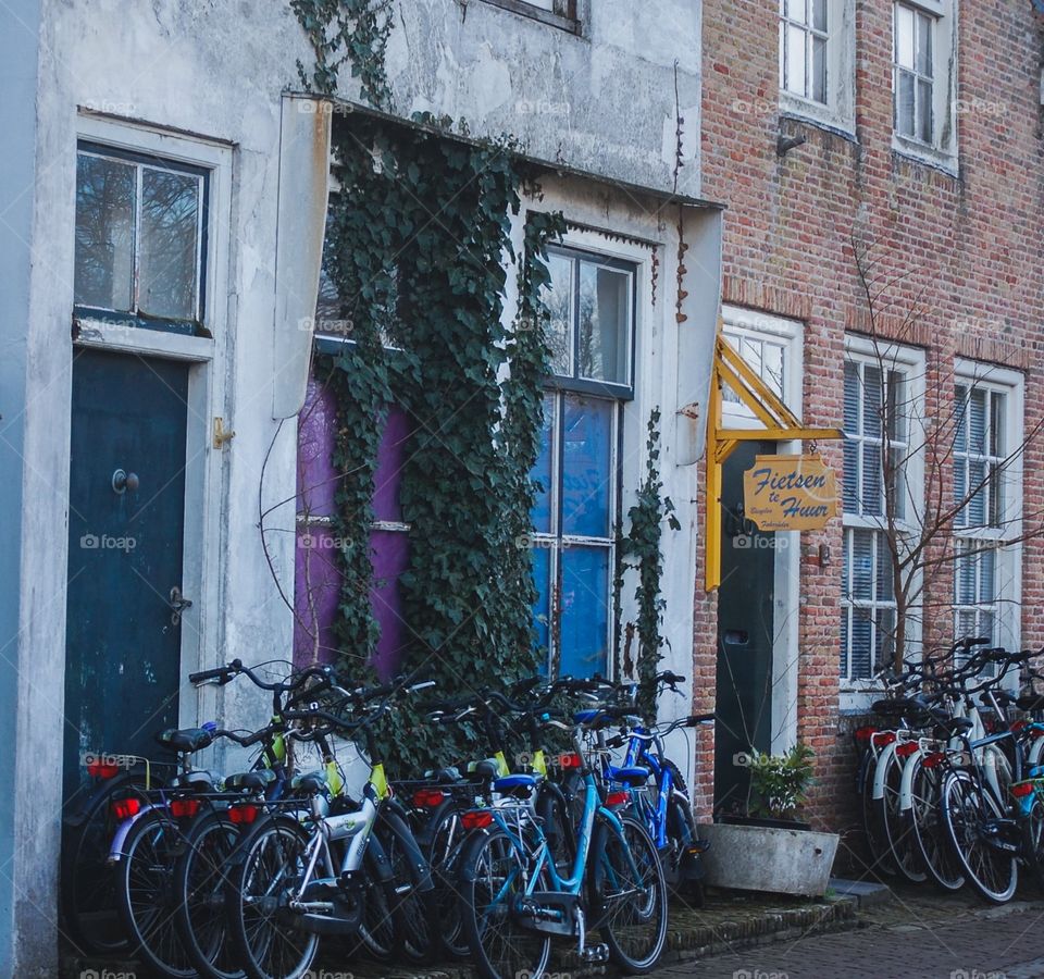 An old bike shop with vines in Zouteland, Netherlands. 